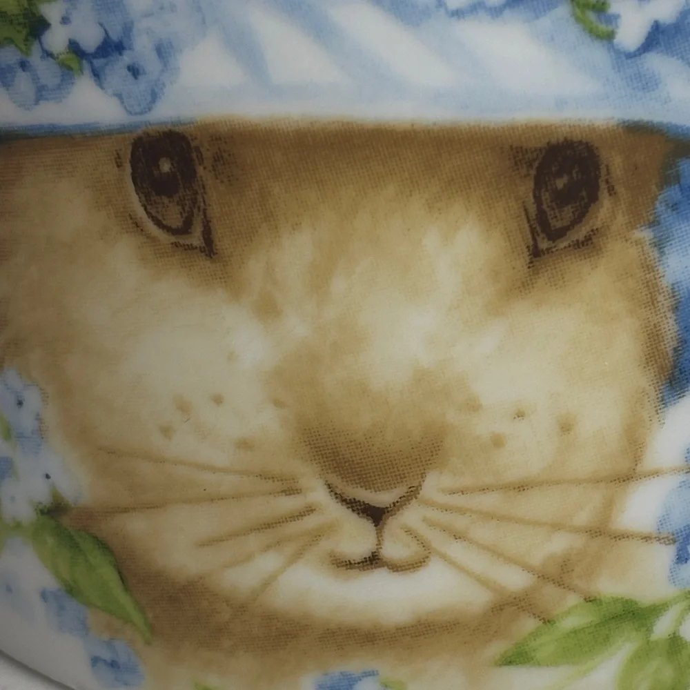 Giant Xl Floral Easter Bluebell Bunny XL Mug with Blue Hat Double Side Design